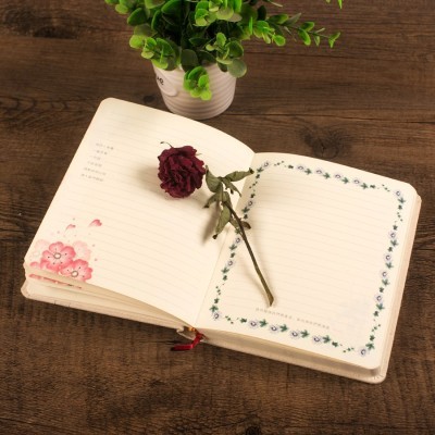 创意日记本学生图片】式笔记本文具创意日记本学生图片大全_好便宜网