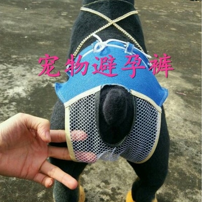 狗裤子猫避孕狗/生理宠物裤子母狗母k狗宠物衣服防交母狗意外怀孕