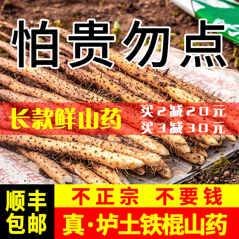 正宗垆土铁棍山药河南焦作温县新鲜5