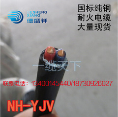 2芯电缆线耐火2芯电线NH-YJV2X1.5 2X2.5 2X4平方电力电缆