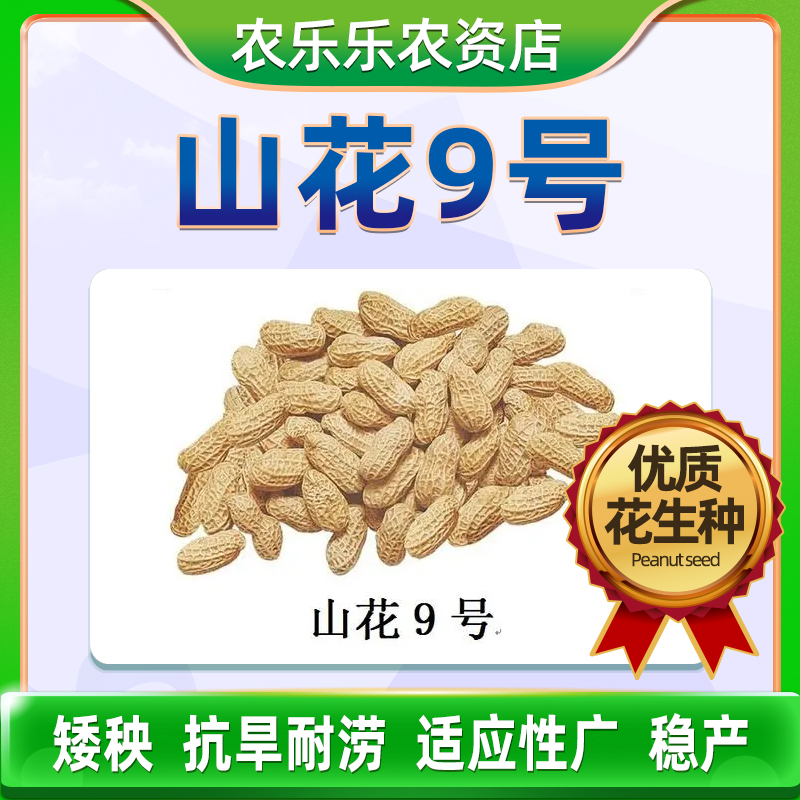 热销花生米 生 新 特级_山花9号晒干生农科院特级高品质高产米适应性