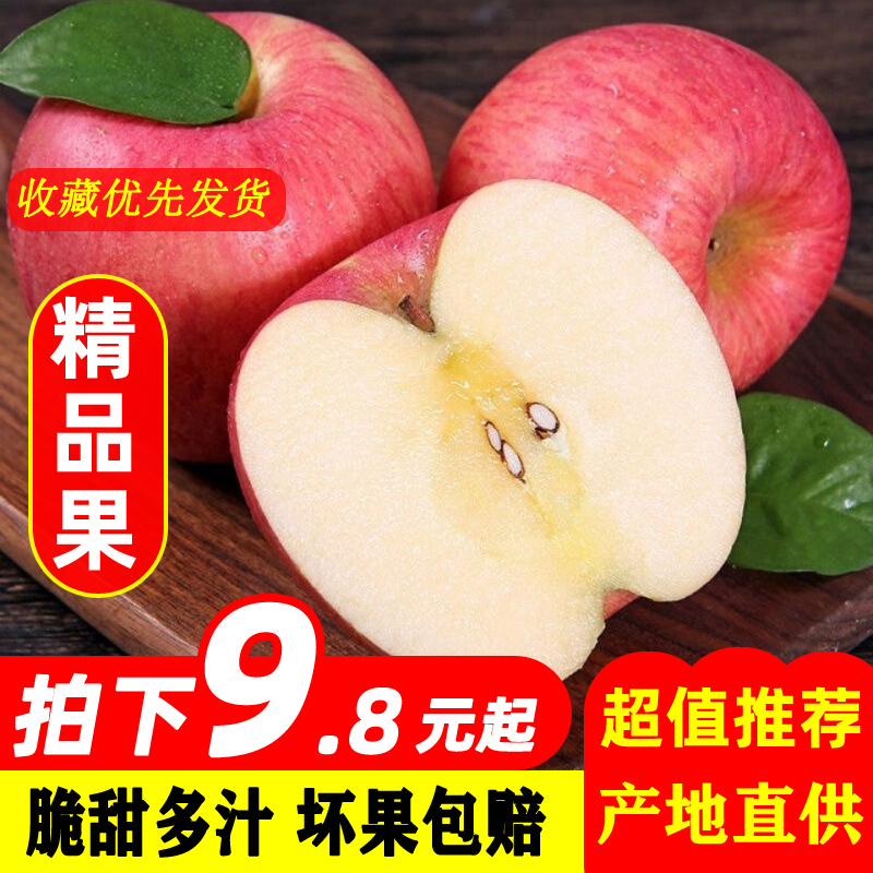 山西运城红富士批发脆甜应季平果