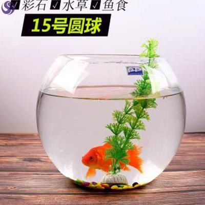 培圆形六角玻璃缸恐龙桌面造景专用水残迷你自生态鱼缸鱼透明