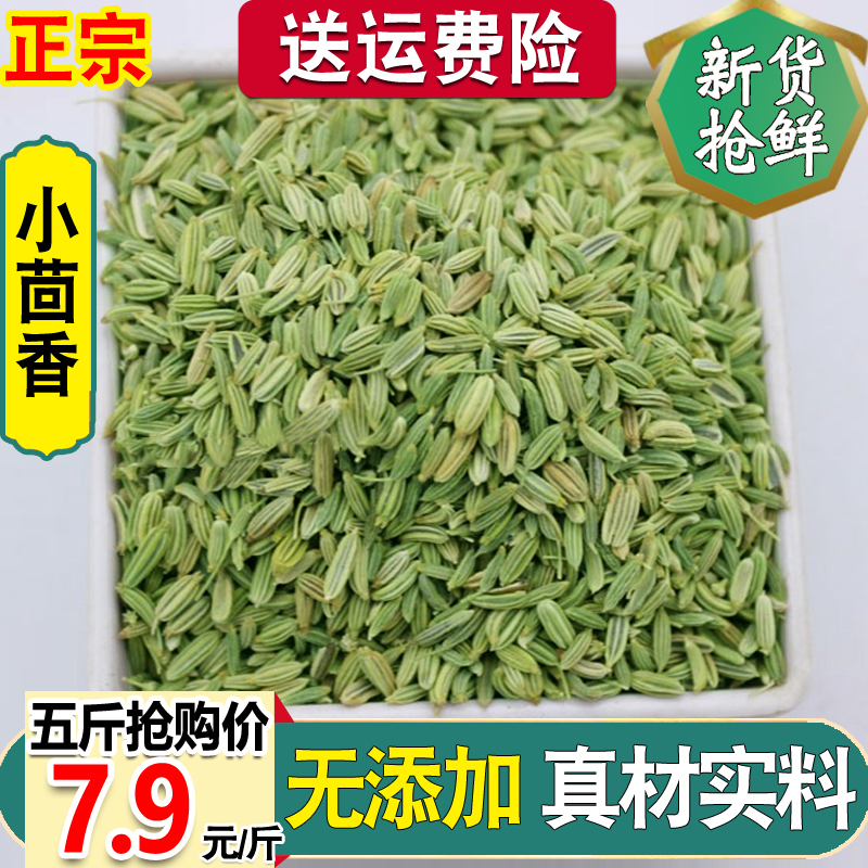 今年新货甘肃小茴香籽正品500克g包邮香料调料卤料免费磨粉送运费