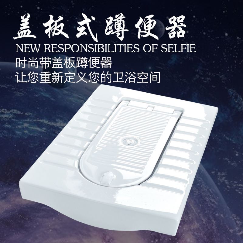 > 隐形带盖蹲便器