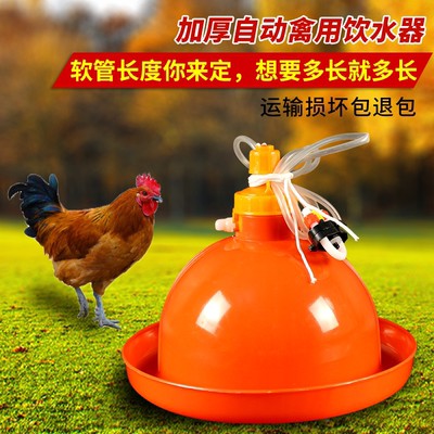 养殖场设备普拉松自动饮水器家禽鸡鸭鹅用喂水神器加厚喝水壶包.