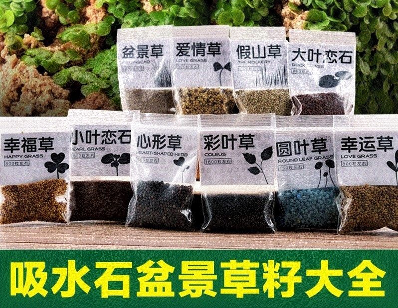 种庭院上水石大型草子爬山藓水草三种草籽珍珠小草假山绿化盆景.
