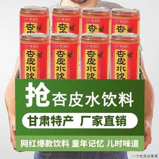 甘肃特产杏皮水整箱20瓶天方杏皮水果味饮料西北饮品网红胡萝卜汁