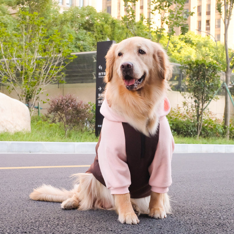 大狗狗衣服秋冬装金毛拉布拉多萨摩耶冬季宠物中型犬大型犬春秋款