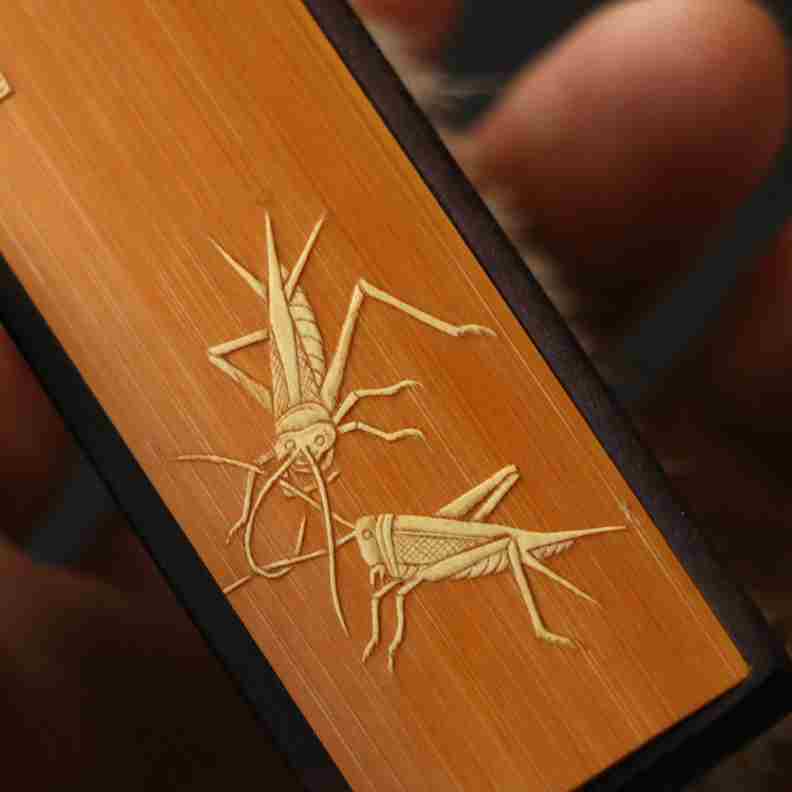 精品名家戚挺飞纯手工留青雕刻老玉竹文玩刷子竹雕竹木把玩毛刷