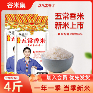 谷米集五常香米3斤东北大米10斤黑龙江大米2024年新米长粒香大米