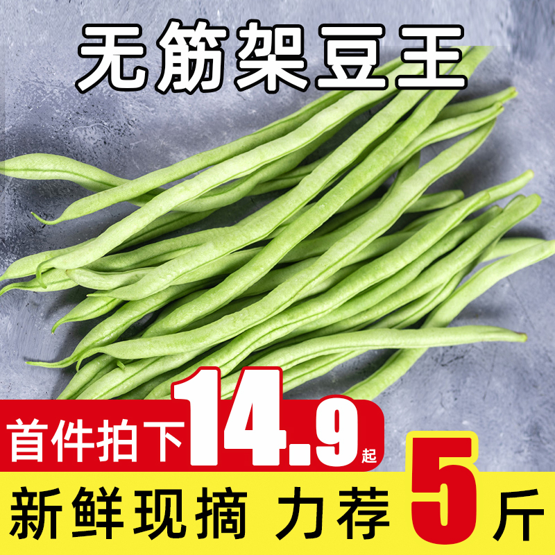 新鲜现摘无筋架豆王豆角当季蔬菜四季