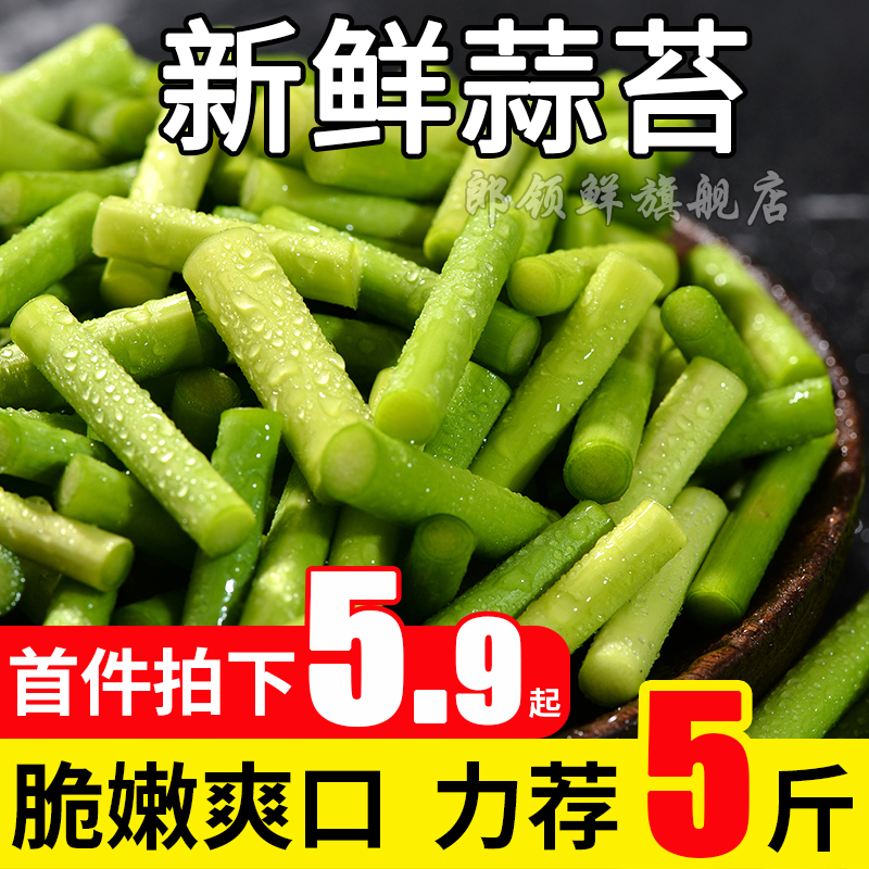 Henan fresh Garlic moss 5 Should Vegetables Farm Red Hat Garlic Garlicin the Aquatic meat/Fresh fruits and vegetables/Cooked , Fresh vegetables/Vegetable products , Fresh vegetables , 新鲜蒜苔 category - from Buy2taobao.com to provide professional Taobao agent buy service
