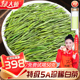 绿大师 明前特级5A珍稀白茶2024新茶叶 头采芽高山绿茶春茶共500g