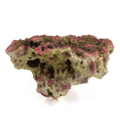 鱼缸装饰造景大珊瑚石天然图片