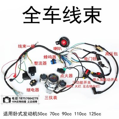 宗申三轮摩托车125 250 150cc 110 200 点火器通用原厂交直流双核摩托
