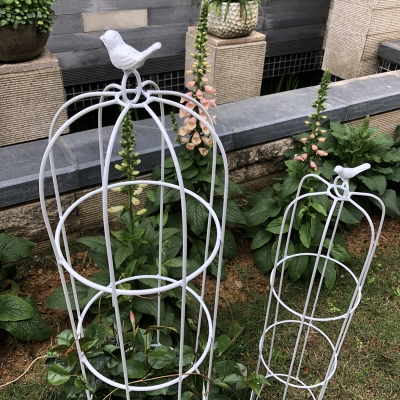 花卉支架杆花支架固定飘香藤庭院支撑杆花园落地式爬架爬藤架架.