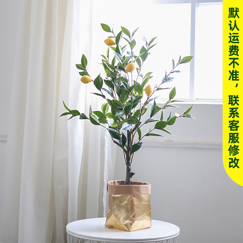 现货仿真盆栽绿植柠檬盆景假植物家居室内装饰绿植