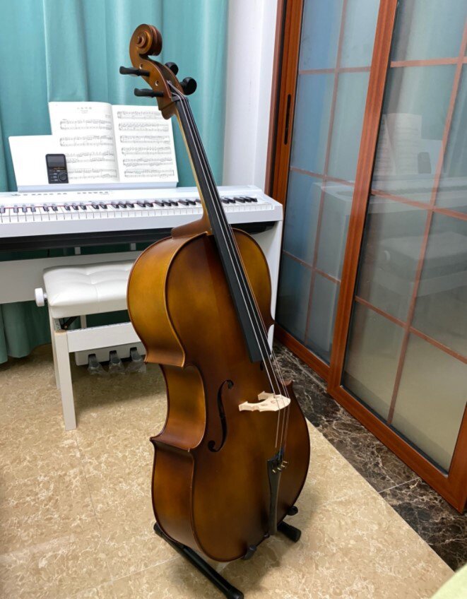 特价大提琴
