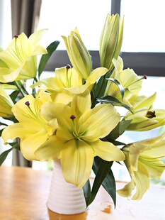 黄霸天家用速递多头生日室内插花新鲜昆明花卉水养农鲜花云南直发