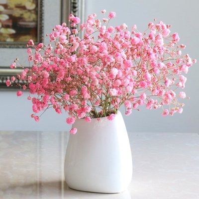 星真花干花花束干枝干花真花文艺i小清新客厅装饰树枝风干