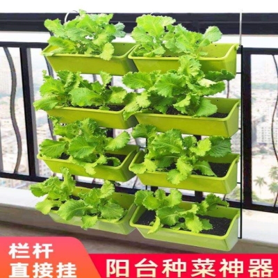 家庭菜园阳台种菜盆架子多层栏杆壁挂蔬菜草莓垂直立体种植盆挂.图片
