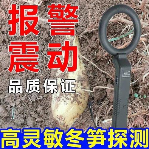 冬笋探测仪