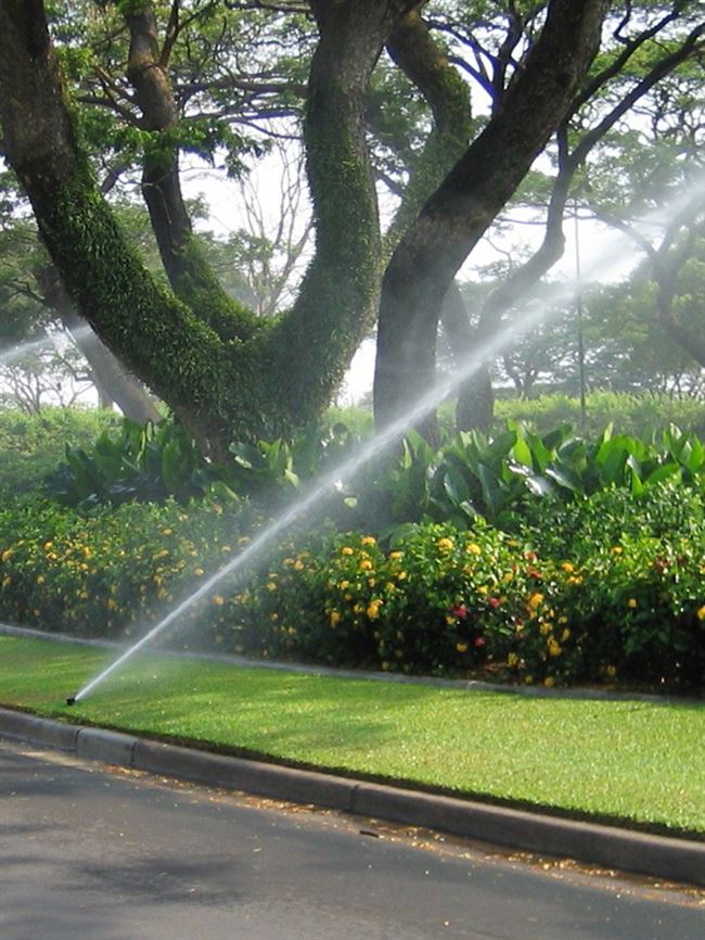 3504地埋式旋转t喷头公园庭院自动升降式草坪喷灌伸缩绿化