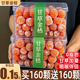 甘草金桔果干蜜饯果脯化止金橘痰咳广西特产级正零食宗官方旗舰店