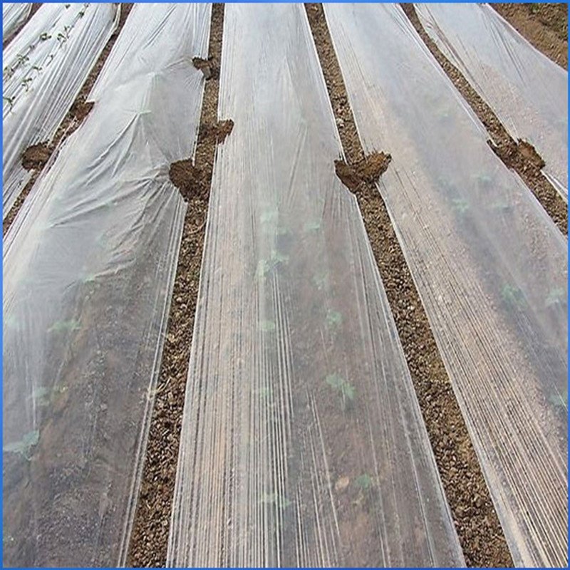 地膜农用黑膜塑料薄膜k盖草黑地膜种植白膜田埂除草膜黑色3米宽