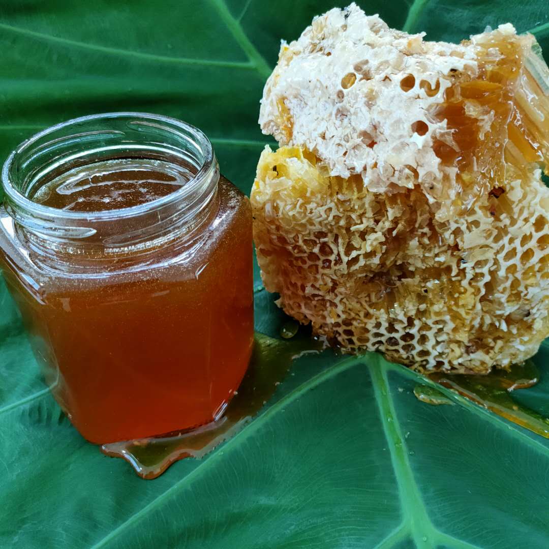 野生大挂蜜悬崖蜜云南天然森林纯正原始原汁崖蜜岩蜜蜂巢蜜500克