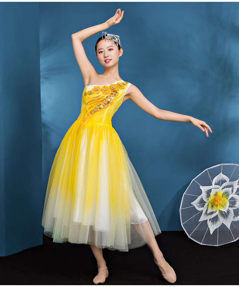 正品新款现代舞演出服女成人大摆裙蓬蓬裙开场舞台表演舞连衣裙服