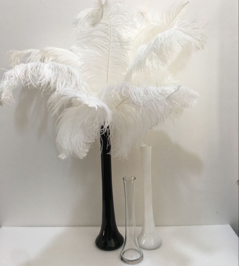 插羽毛白色花瓶玻璃细长现代简约客厅玄关家居摆件鸵鸟毛黑色花器