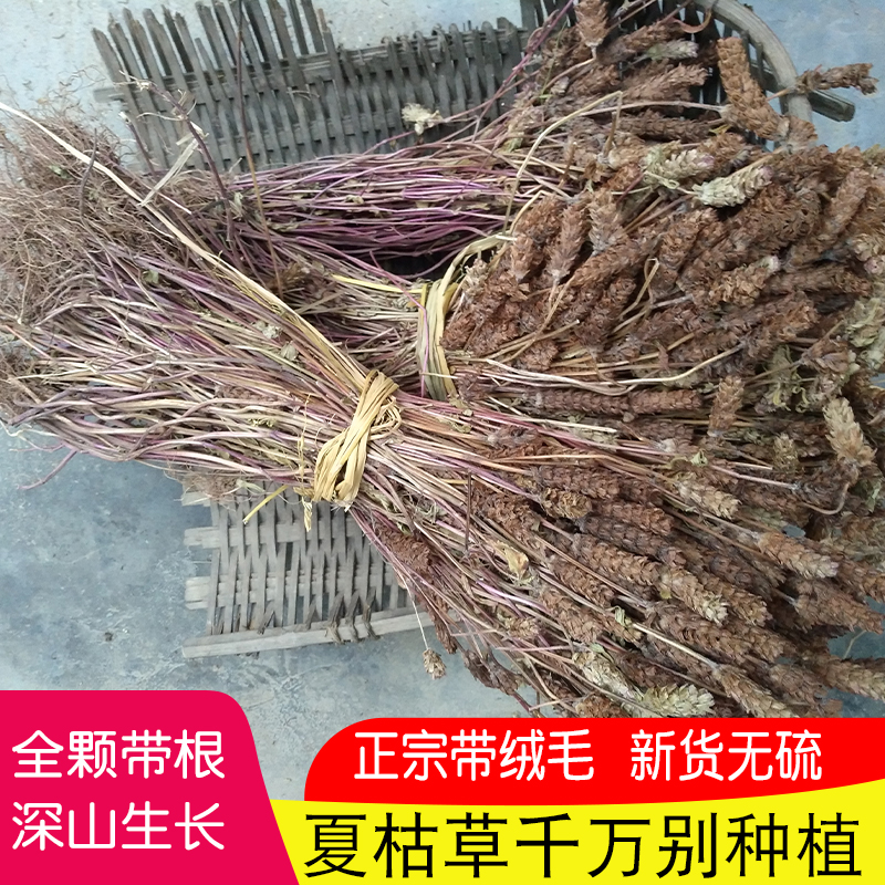 夏枯草药材500g可配猫爪草农家无