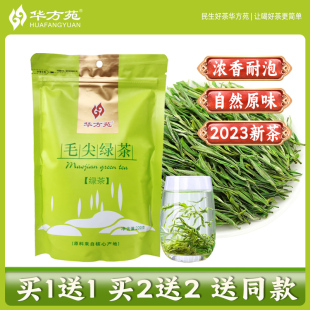 华方苑2023新茶毛尖绿茶高山茶叶浓香型春绿茶自己喝散装袋装220g