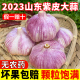 果王缘2023山东新大蒜头干蒜5斤装紫皮蒜现货新鲜金乡多瓣10农家