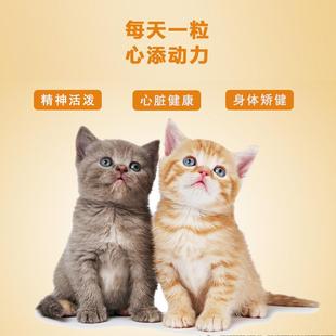 安哚喵宠物养心舒猫狗通用辅酶Q10预防心脏病心血管肥大保护心脏