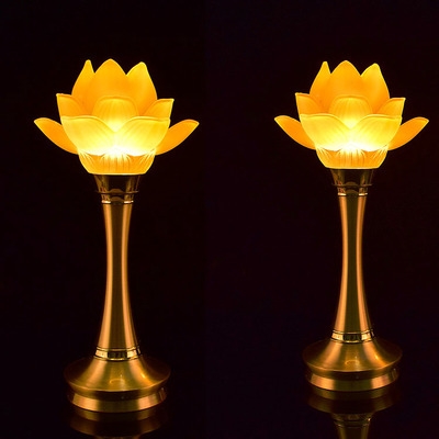 一对供佛灯纯铜led水晶七彩莲花灯佛供灯长明灯插电佛灯佛前供灯10