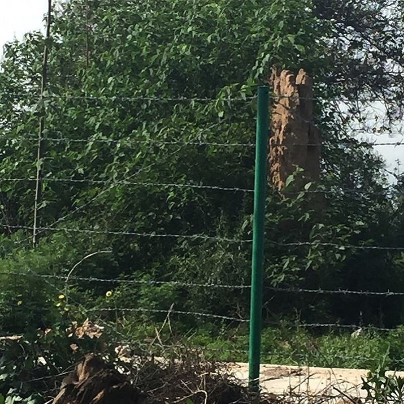 刺绳刺钢丝铁蒺藜围栏护栏网防爬刺铁丝刺网热镀锌钢丝网围墙防