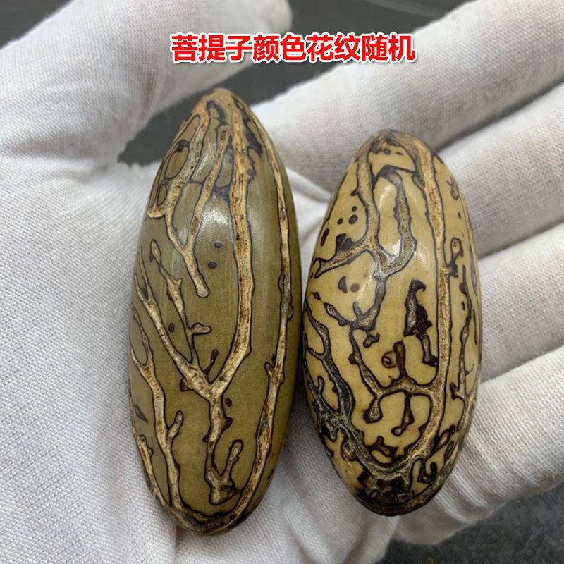 la玩f免费送千眼菩提子原籽佛珠手串核桃手把件佛心果金刚文链菩