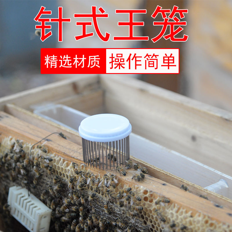 不锈钢针式蜜蜂王笼多功能中x意蜂囚王笼扎蜂脾关王专用扣式介王