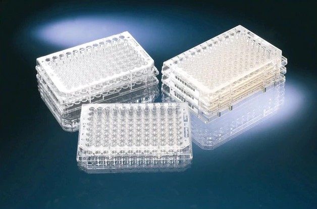 高档原口进装nunc96孔聚t苯乙烯圆底微孔板14376116332026ins