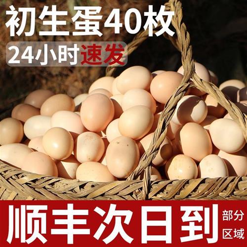 乡公馆鸡蛋新鲜初生蛋40枚正宗农家散养土鸡蛋草鸡蛋笨鸡蛋谷物蛋