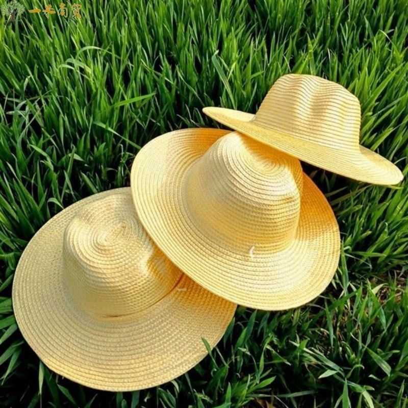 稻草帽草帽防晒遮阳帽女夏季农民工地干活草帽仿v草编帽子男麦
