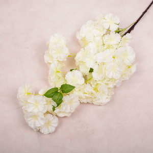 白色榕树叶仿真叶假树叶图片