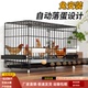 鸡笼子自动出蛋室外防雨养小鸡专用笼室内自动清粪家用养殖特大号
