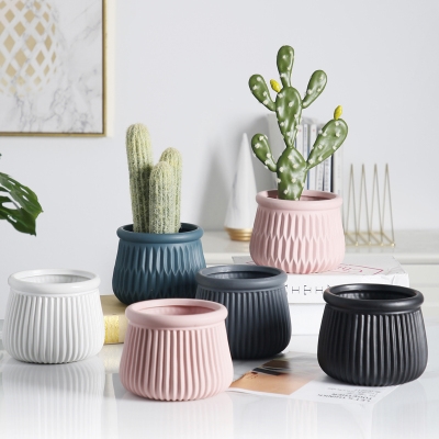 黑白条纹花盆图片