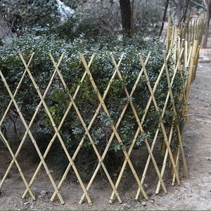 馨帮帮瘦竹竿图片