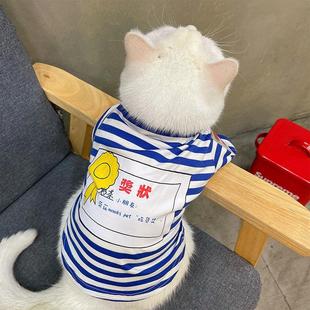 猫咪衣服夏天防掉毛薄款公猫布偶猫蓝猫背心猫猫小猫夏季春秋款