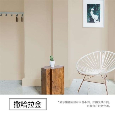 米色外墙乳胶漆